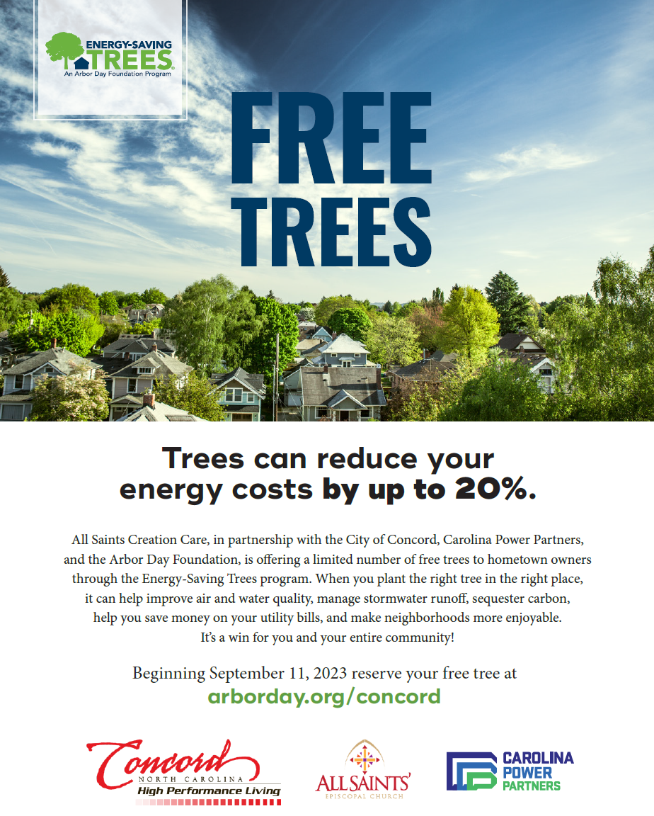 Energy Saving Trees Program Flyer